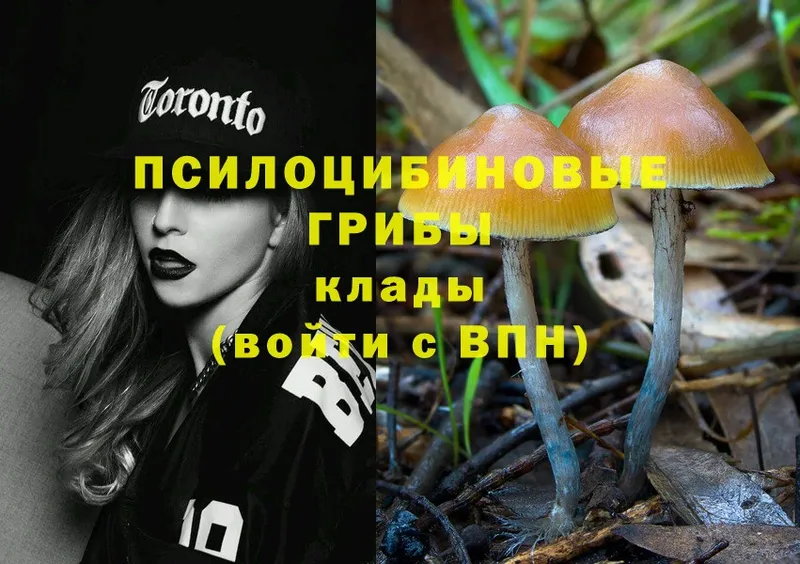 Псилоцибиновые грибы Magic Shrooms  гидра ССЫЛКА  Туймазы 